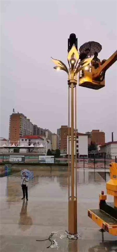 山西省临汾市市乡宁县幸福村亮化4