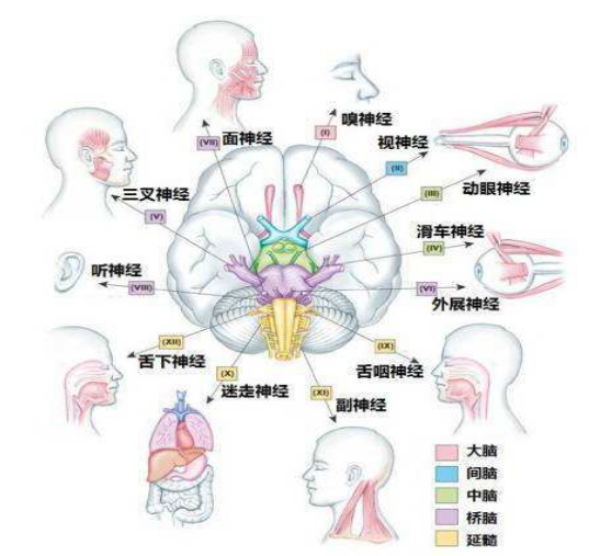 格林巴利综合征摆正心态——案例