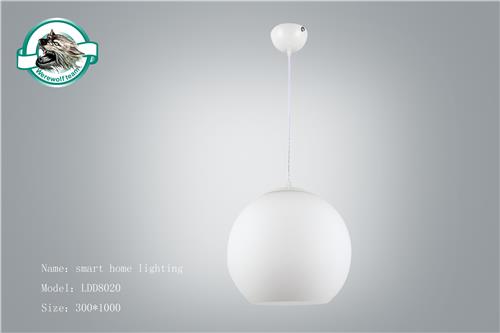 LDD8020