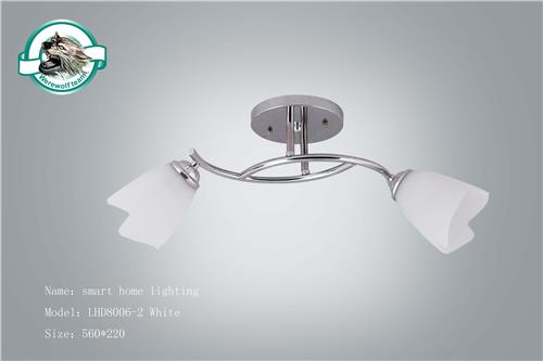 LHD8006-2 White