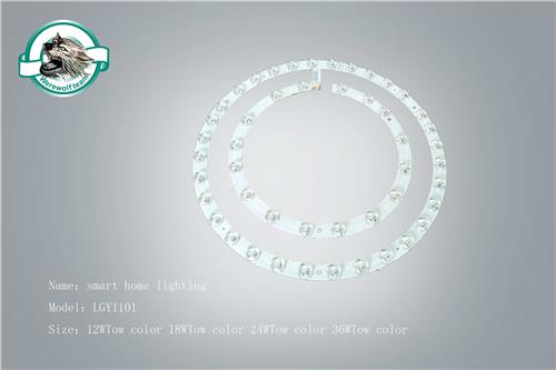 LGY1101