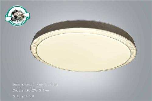 LWS3239 Silver