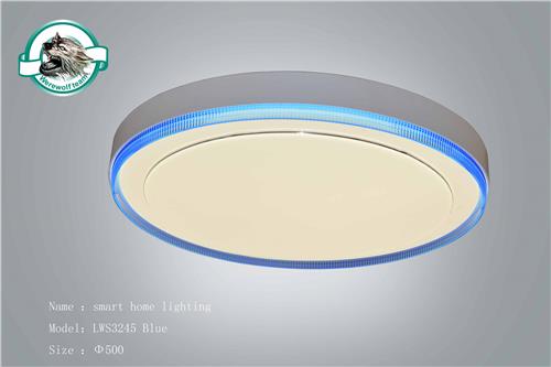 LWS3245 Blue