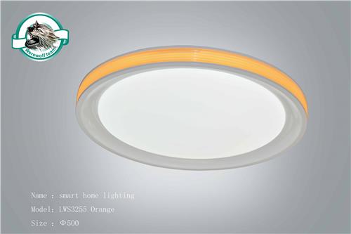 LWS3255 Orange