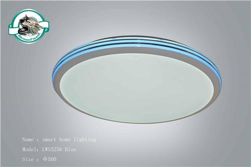 LWS3256 Blue