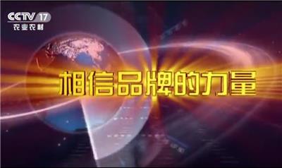 央视视频