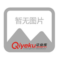 公司簡介