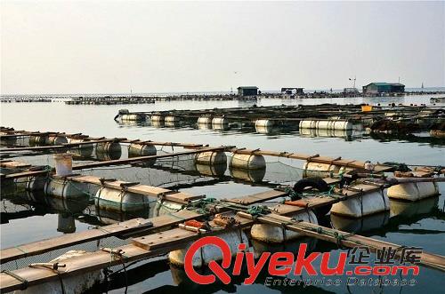 經(jīng)營了兩年的魚塘被征收時 補償標(biāo)準(zhǔn)是怎樣的！