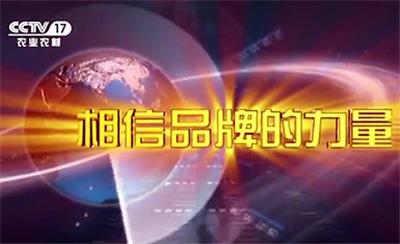 视频中心