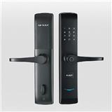 What are the components of a fingerprint lock?