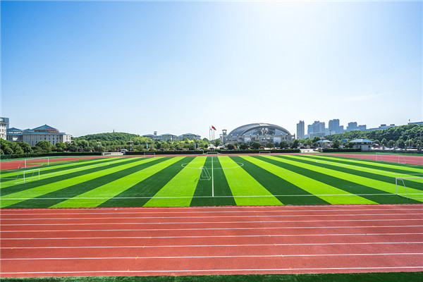 人造草足球场建设价格，标准人造草足球场建设费用