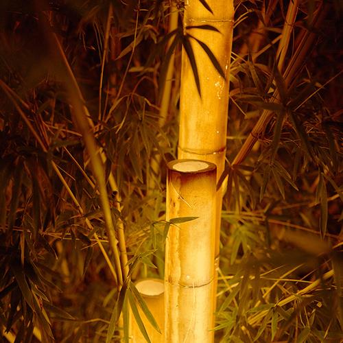 供应恒逸照明户外通体发光竹节灯