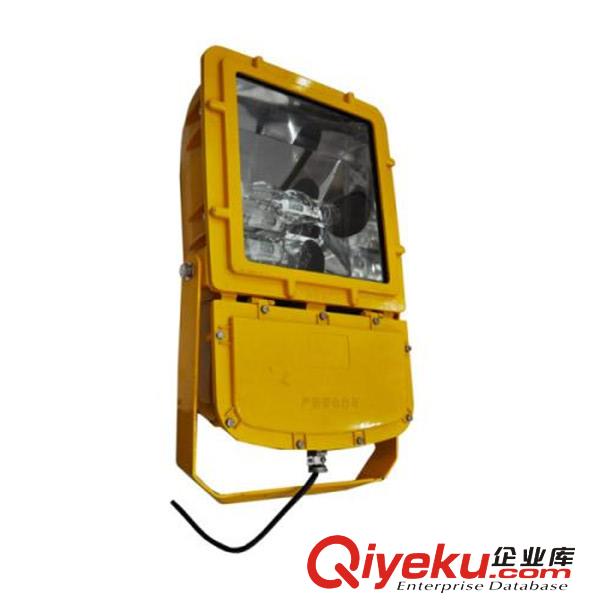  水泥厂BFC8110/HN防爆泛光灯
