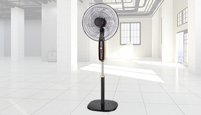 LUXURY FAN