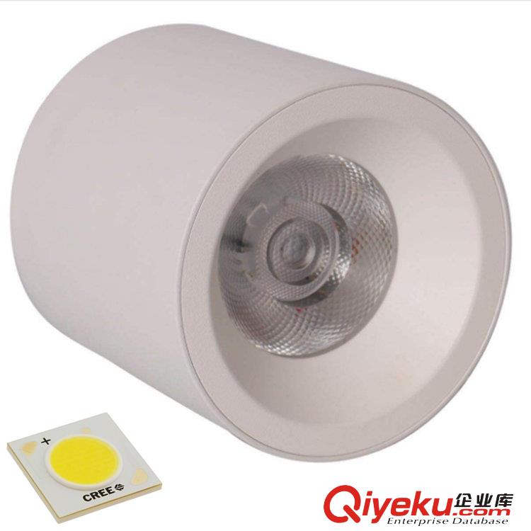 高品質LED吸頂筒燈6寸50W工廠直供