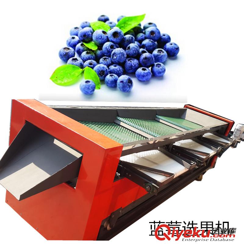 篩網(wǎng)帶式藍(lán)莓篩選機