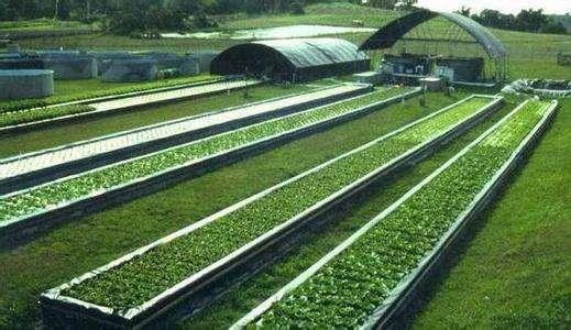 愛森SNF  農業用聚丙烯酰胺  廣東一級代理