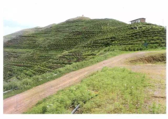愛森SNF  農業用聚丙烯酰胺  廣東一級代理原始圖片2