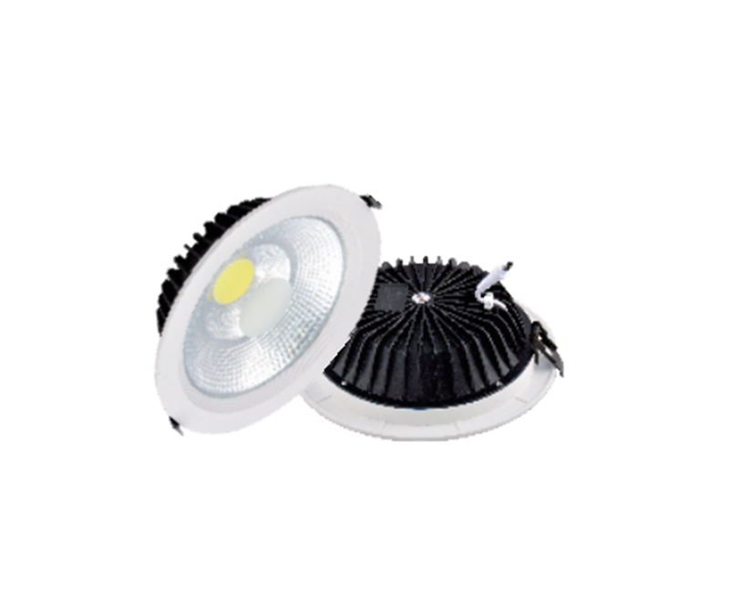 LED Down Light Series