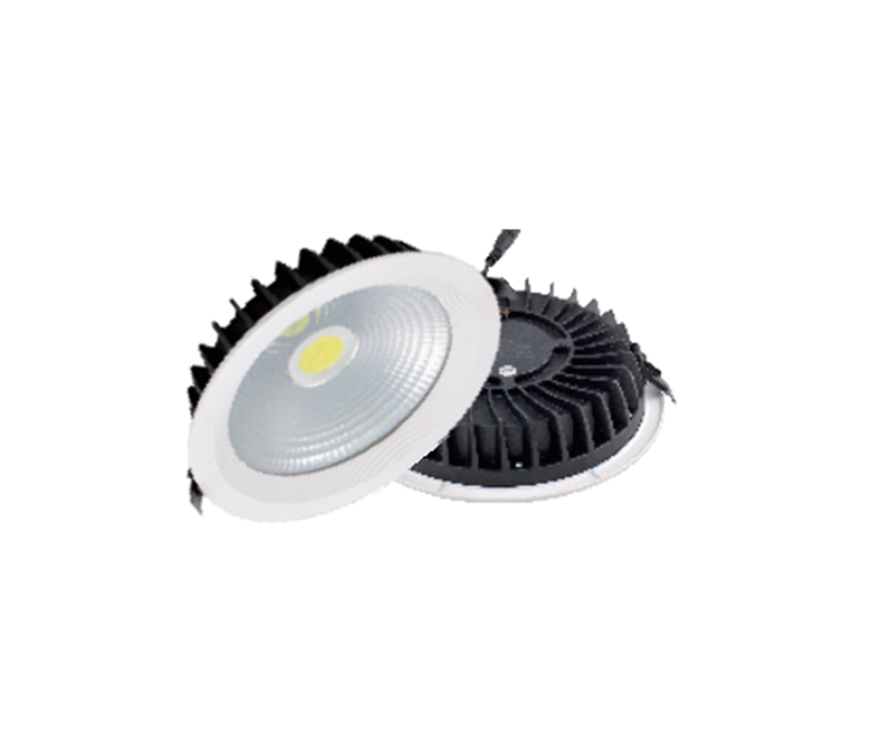 LED Down Light Series