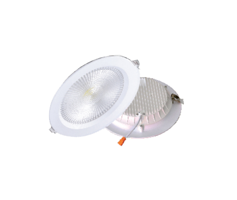 LED Down Light Series