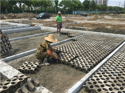 南京植草地坪厂家直供 专业施工 江苏撰石景观