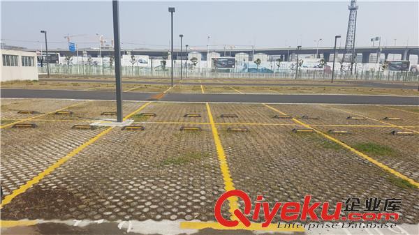 無錫植草地坪廠家直供  專業(yè)施工  江蘇撰石景觀原始圖片2