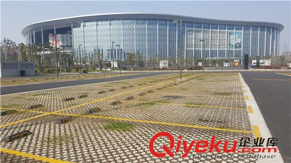 無錫植草地坪廠家直供  專業(yè)施工  江蘇撰石景觀原始圖片3