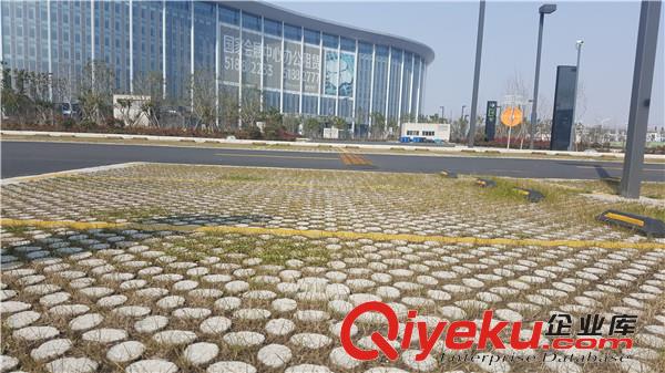 蘇州植草地坪廠家直供  專業(yè)施工  江蘇撰石景觀原始圖片2