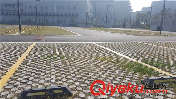 蘇州植草地坪廠家直供  專業(yè)施工  江蘇撰石景觀原始圖片3