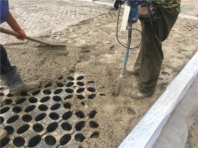 南通植草地坪廠家直供  專業(yè)施工  江蘇撰石景觀