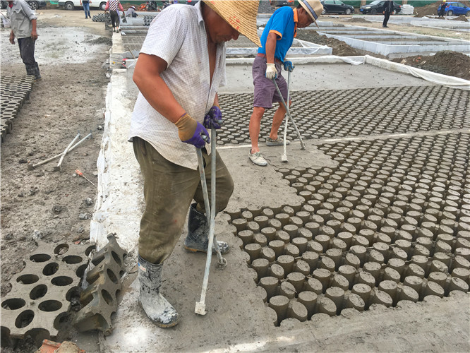 南通植草地坪廠家直供  專業(yè)施工  江蘇撰石景觀