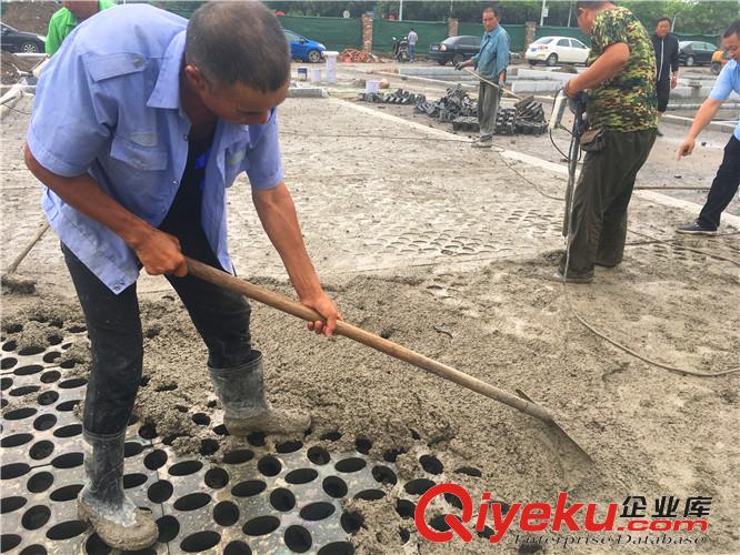 宿遷植草地坪廠家直供  專業施工  江蘇撰石景觀原始圖片2