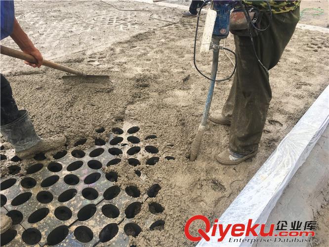 徐州植草地坪廠家直供  專業施工  江蘇撰石景觀原始圖片2