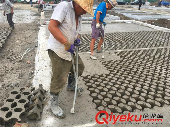 連云港植草地坪廠家直供  專業施工  江蘇撰石景觀原始圖片2