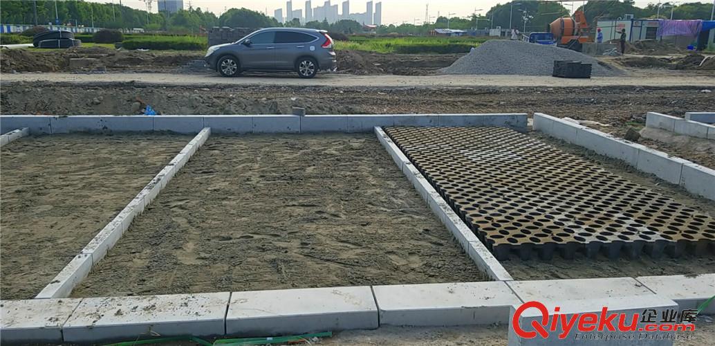 連云港植草地坪廠家直供  專業施工  江蘇撰石景觀