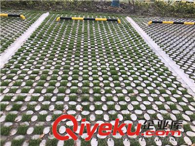 溧陽植草地坪廠家直供 專業(yè)施工 江蘇撰石景觀