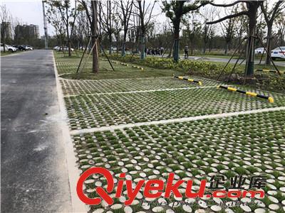 溧陽植草地坪廠家直供 專業(yè)施工 江蘇撰石景觀