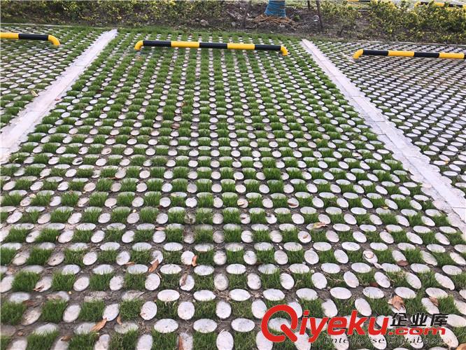 張家港植草地坪廠家直供 專業施工 江蘇撰石景觀