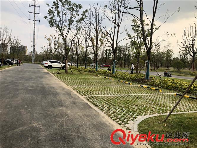 張家港植草地坪廠家直供 專業施工 江蘇撰石景觀