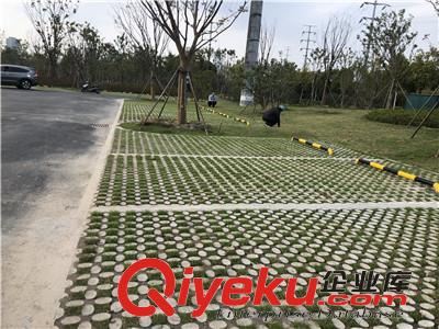 常熟植草地坪廠家直供 專業施工 江蘇撰石景觀