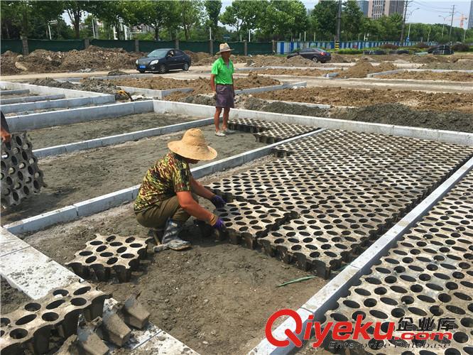 阜陽植草地坪廠家直供  專業(yè)施工  江蘇撰石景觀原始圖片2