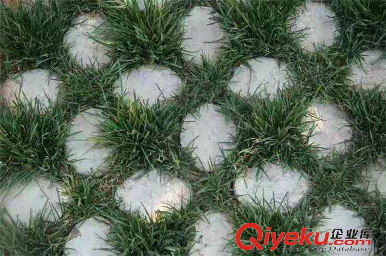 阜陽植草地坪廠家直供  專業(yè)施工  江蘇撰石景觀原始圖片3