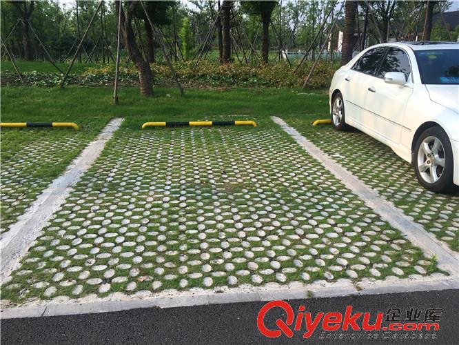 宿州植草地坪廠家直供 專業(yè)施工 江蘇撰石景觀原始圖片3
