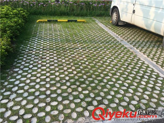 黃山高承載植草地坪模具廠家直供 專業(yè)施工 江蘇撰石景觀