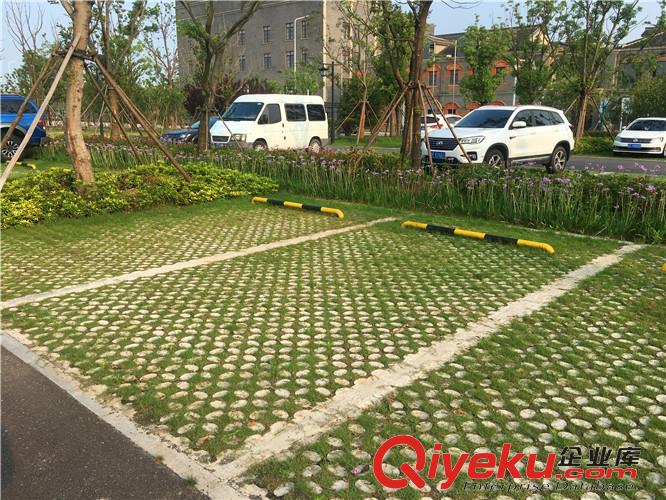 黃山高承載植草地坪模具廠家直供 專業(yè)施工 江蘇撰石景觀