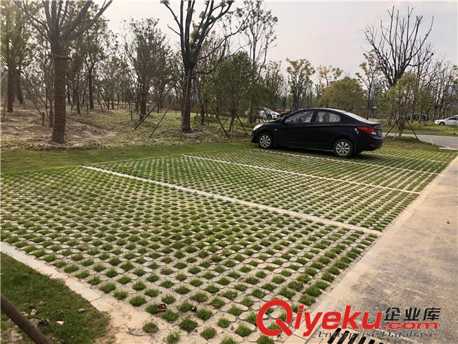高淳高承載植草地坪模具廠家直供 江蘇撰石景觀原始圖片2