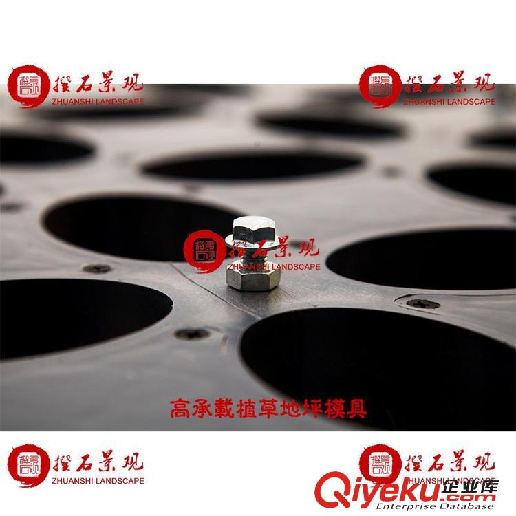 山東省內(nèi)高承載植草地坪模具廠家直供 江蘇撰石景觀原始圖片3