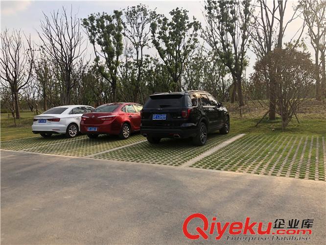 臨沂高承載植草地坪模具廠家直供 江蘇撰石景觀原始圖片2