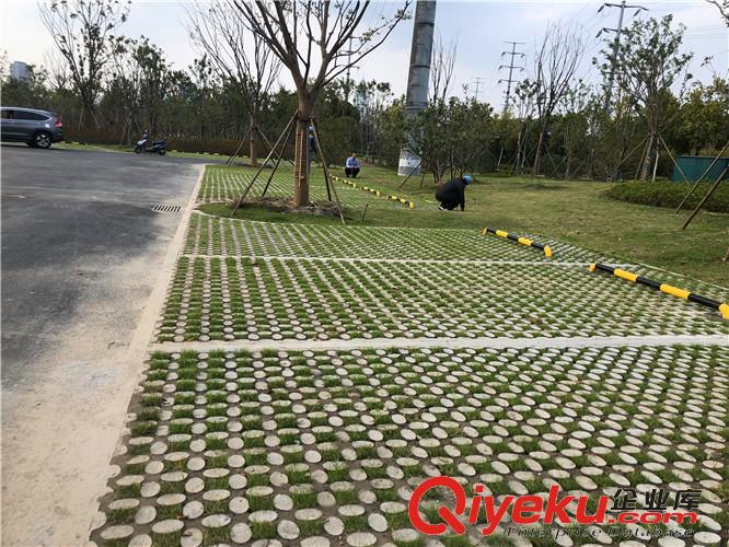 臨汾高承載植草地坪模具廠家直供 江蘇撰石景觀